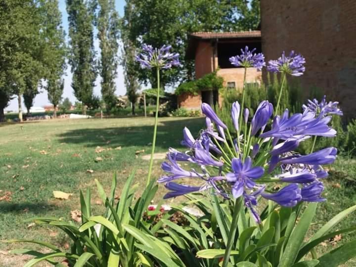 B&B Il Naviglio Di Antonelli Fabio Бастилья Экстерьер фото